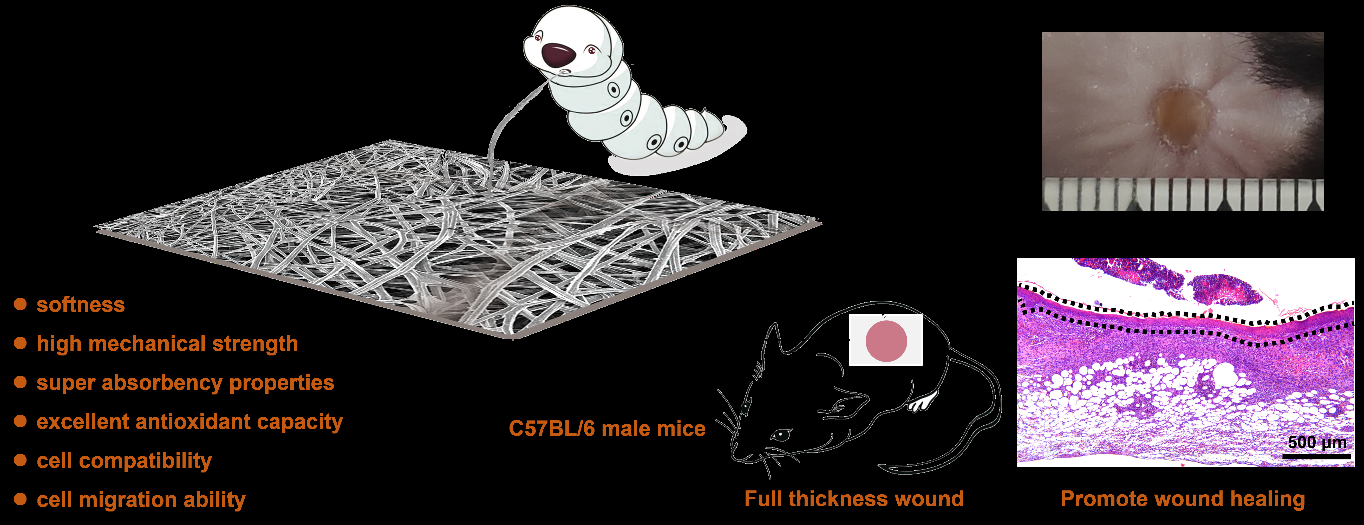 1677574553880539.jpg 平板丝TOC-1.jpg