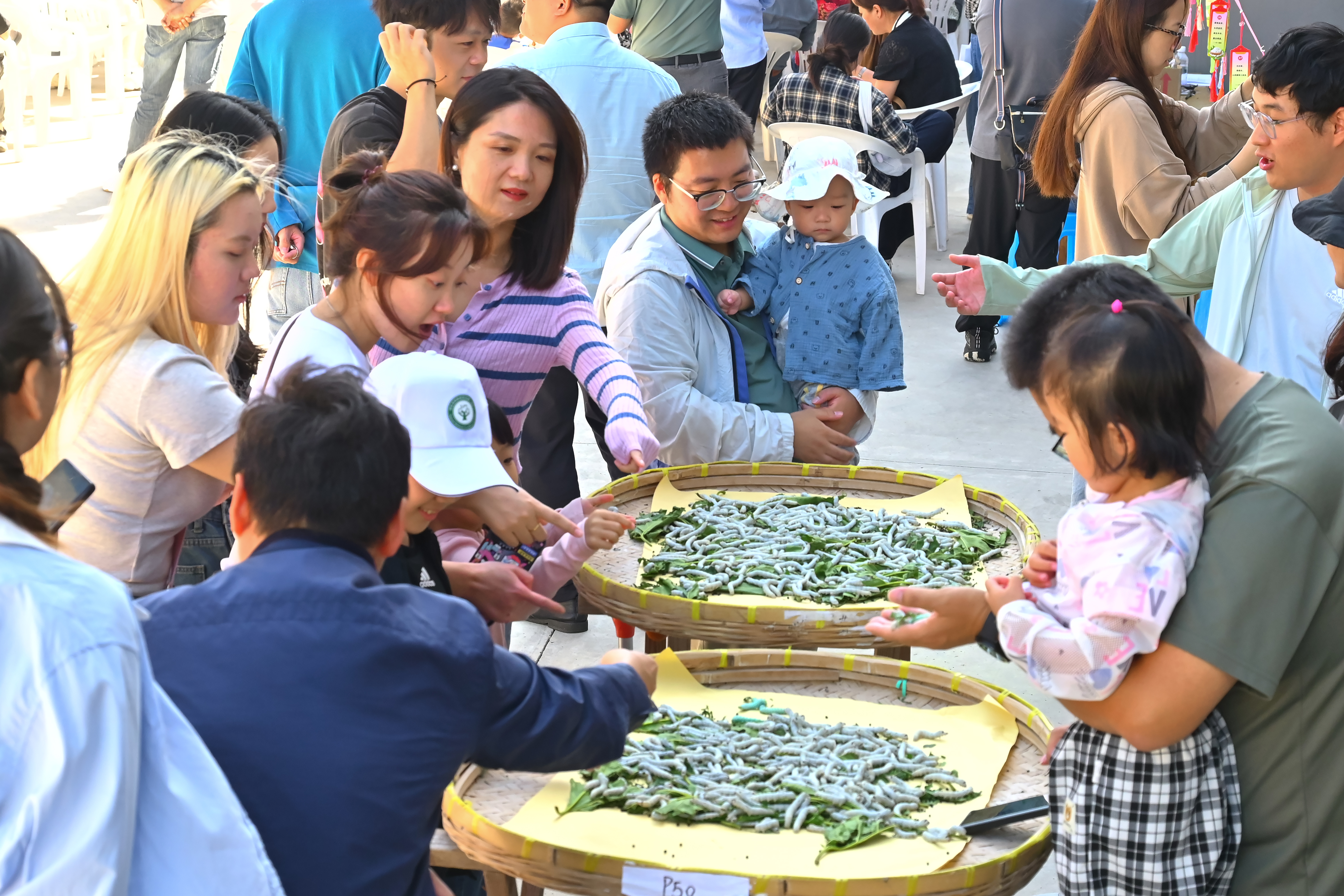 1727054252406639.jpg 图片4.jpg