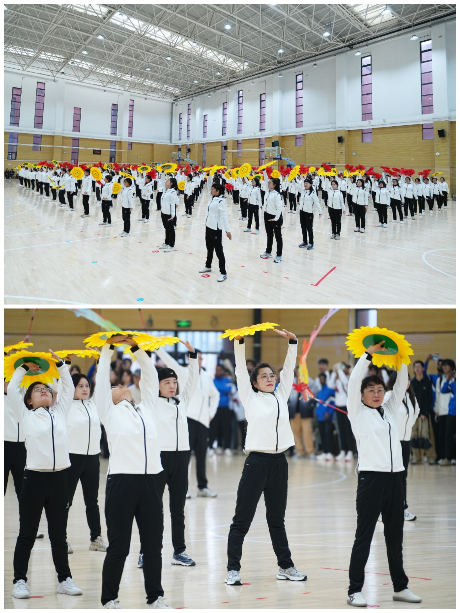 1762502968135424.jpg 1762502968135424.jpg