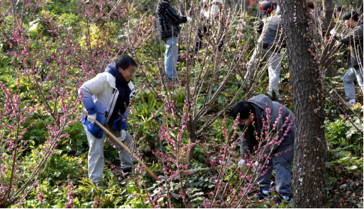 1741679816725570.png image.png