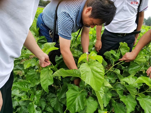 江米兰网页版页面登录生物技术学院赴泗洪科普助农